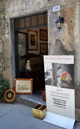 negozioest negozioest