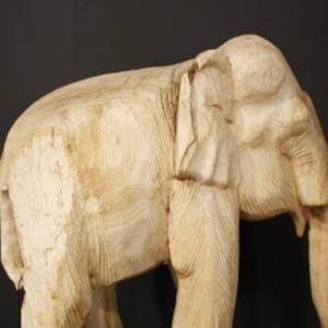elefante1
