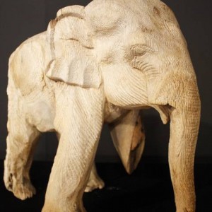 elefante2